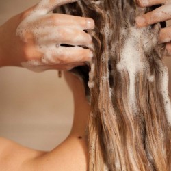 Shampooing Détoxifiant Certifié Bio | Acorelle