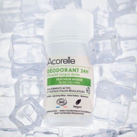 Déodorant Roll-On 24h Fraîcheur Intense certifié BIO | Acorelle