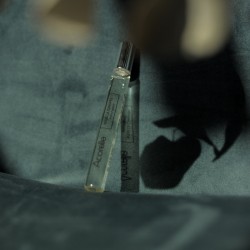Eau de Parfum Roll On Sous La Canopée Bio Certifiée - Encourageante |Acorelle