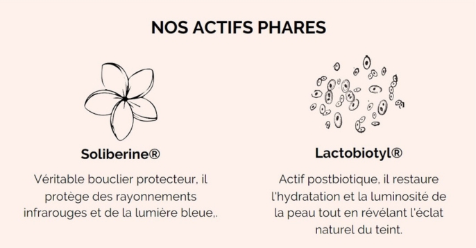 Nos actifs phares