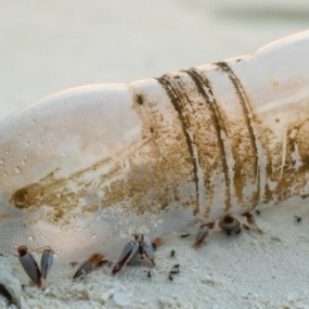 Zoom sur les packaging en plastique