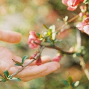 Les astuces beauté bio Acorelle